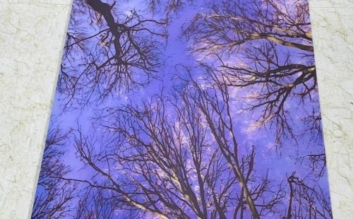 WhatsApp Image 2026-01-22 at 1.12.38 PM